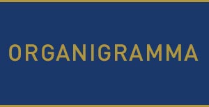 organigramma