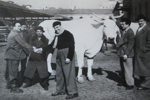 Foto “storica” dal vecchio sensale