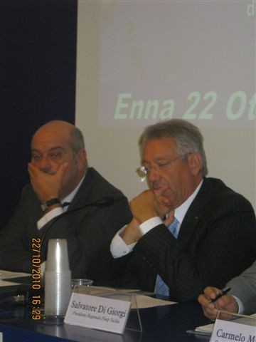 Enna. Importante Convegno Provinciale sulla Legge 122/2010.