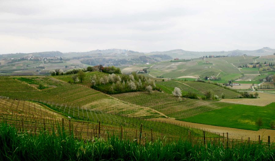 Piemonte: In crescita il mercato delle seconde case nel Monferrato, nelle Langhe e nel Roero.