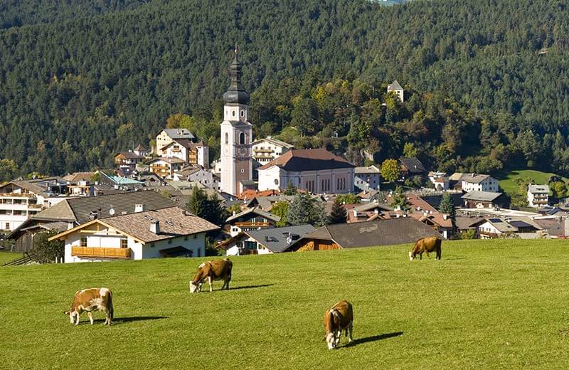 Fiaip: approvata legge incostituzionale e liberticida finalizzata ad ostacolare ulteriormente le locazioni turistiche in Alto Adige