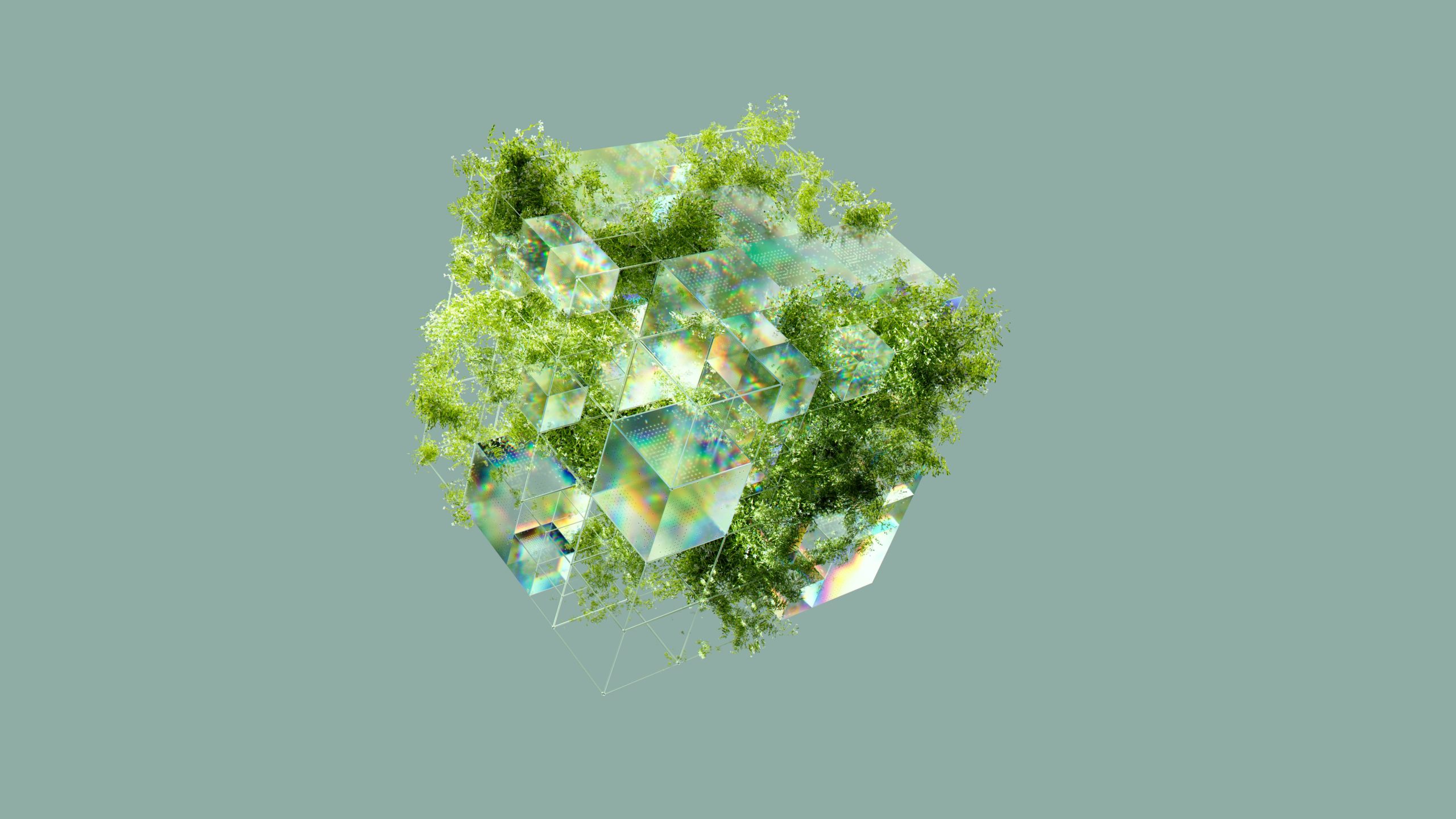 Contributi a fondo perduto per la doppia transizione digitale ed ecologica delle imprese: aperto il bando 2025 della CCIAA di Brindisi